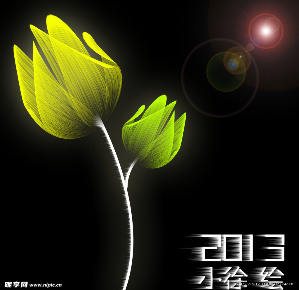 绚丽花朵