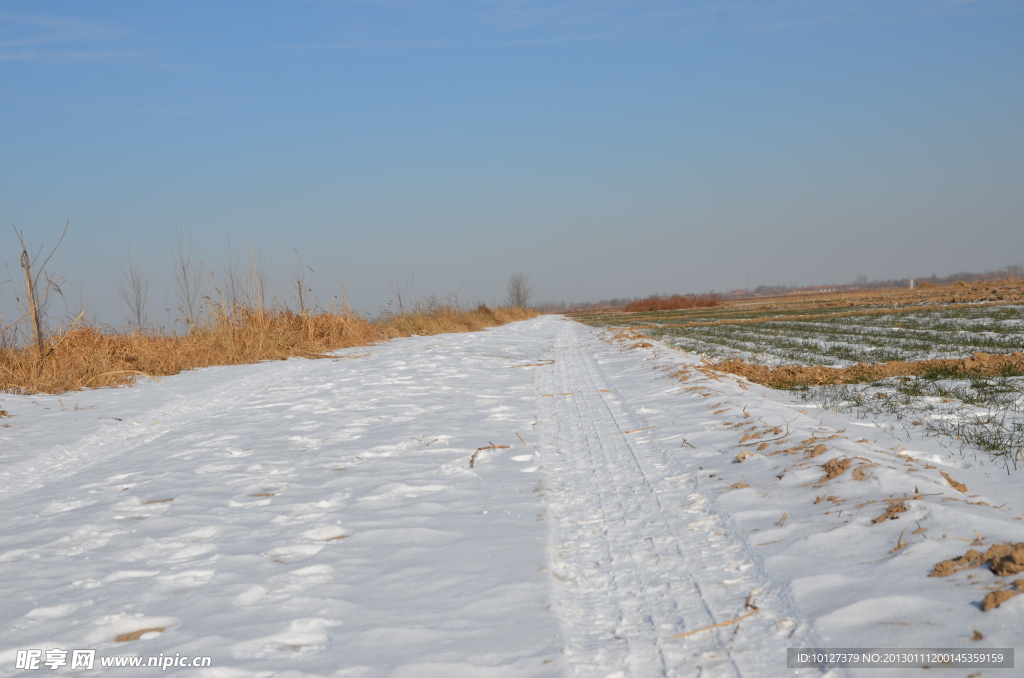 雪中小路