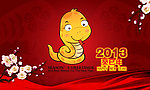 2013蛇年