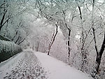 大蜀山的雪景