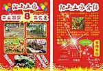 阳山土鸡宣传单