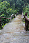 山涧小木桥