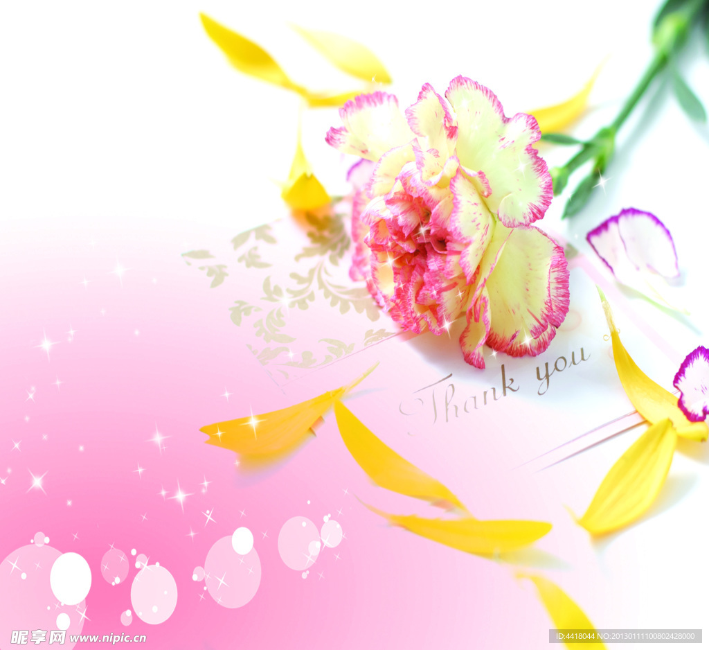 花朵移门