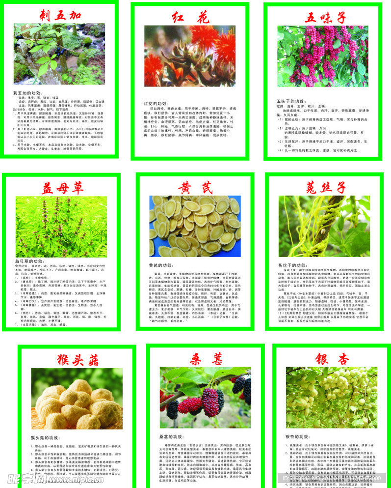 中草药 功效