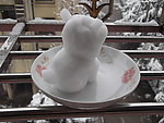 小雪狗