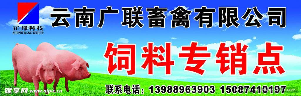畜禽饲料招牌