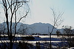 泗沟风景