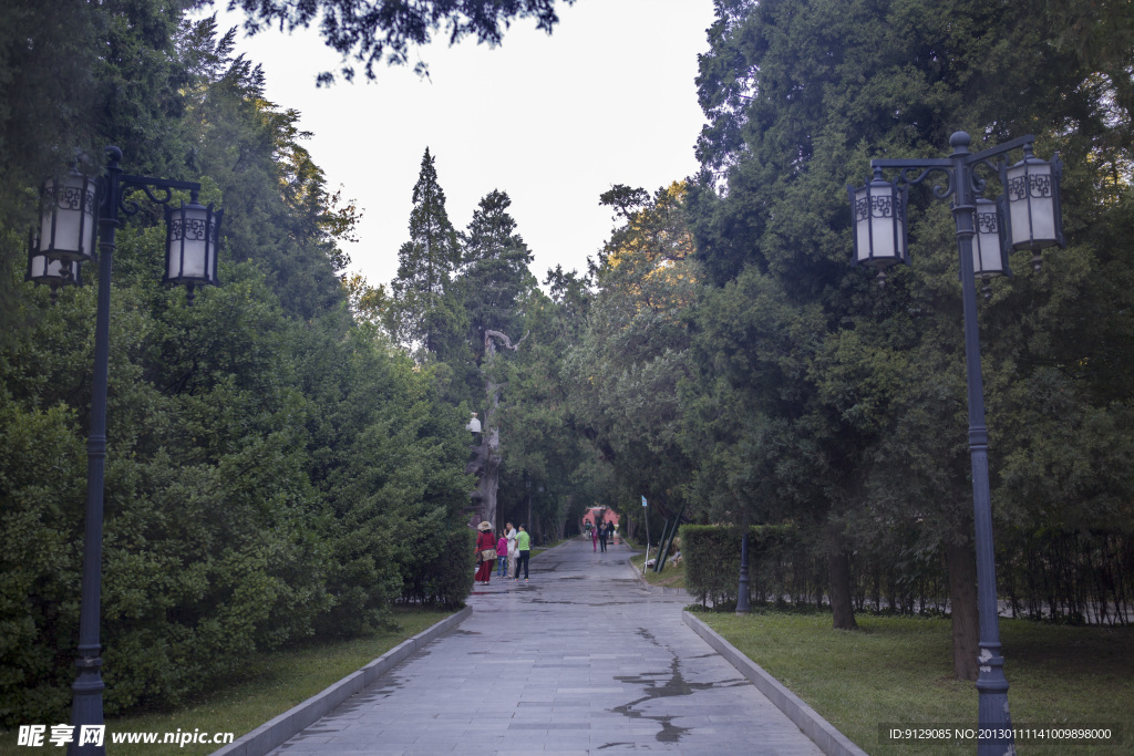 北京中山公园一景