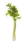 芹菜