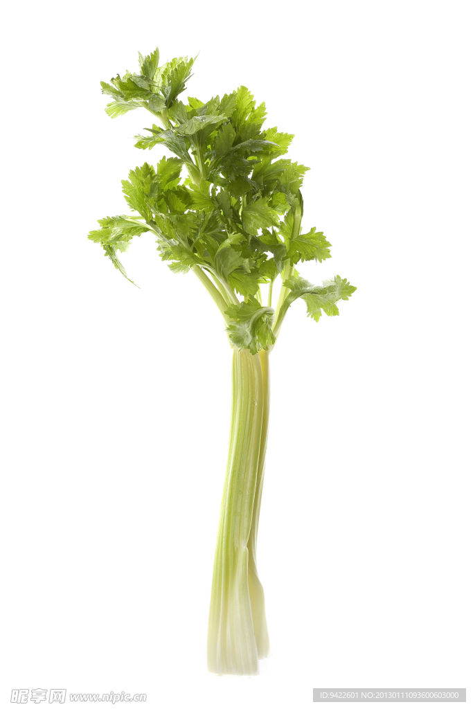 芹菜