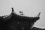 船头