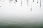 西湖雪景