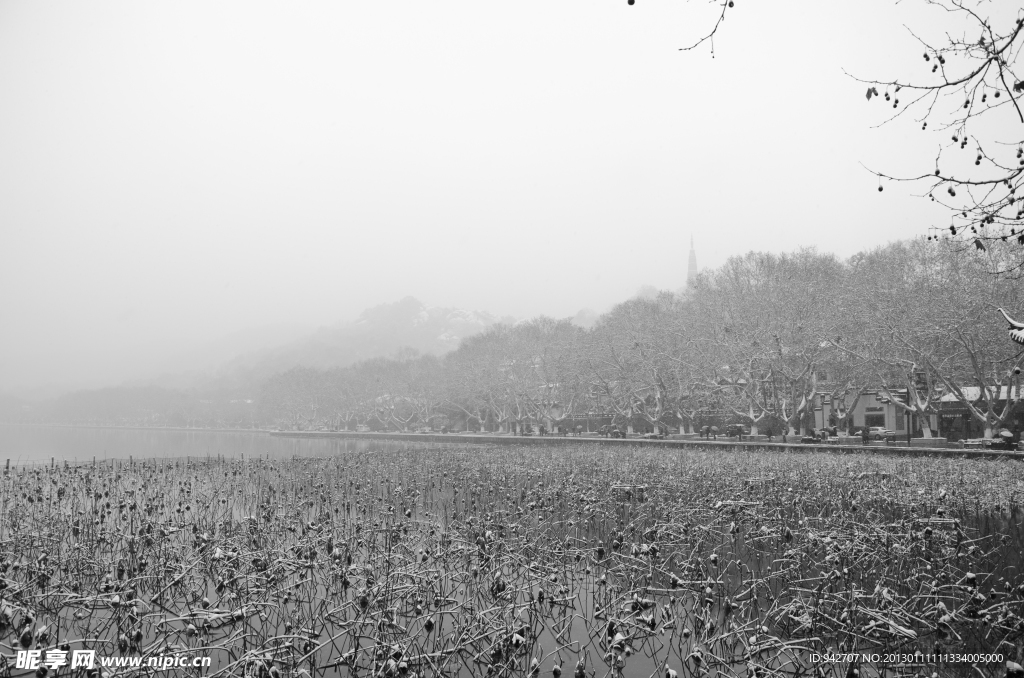 西湖雪景