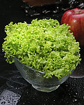 大叶菜