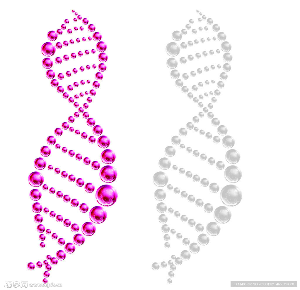 补水美白分子