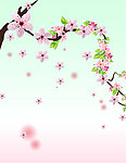 花朵移门