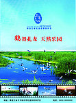 鹤舞扎龙湿地环保海报