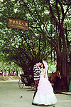 婚纱照