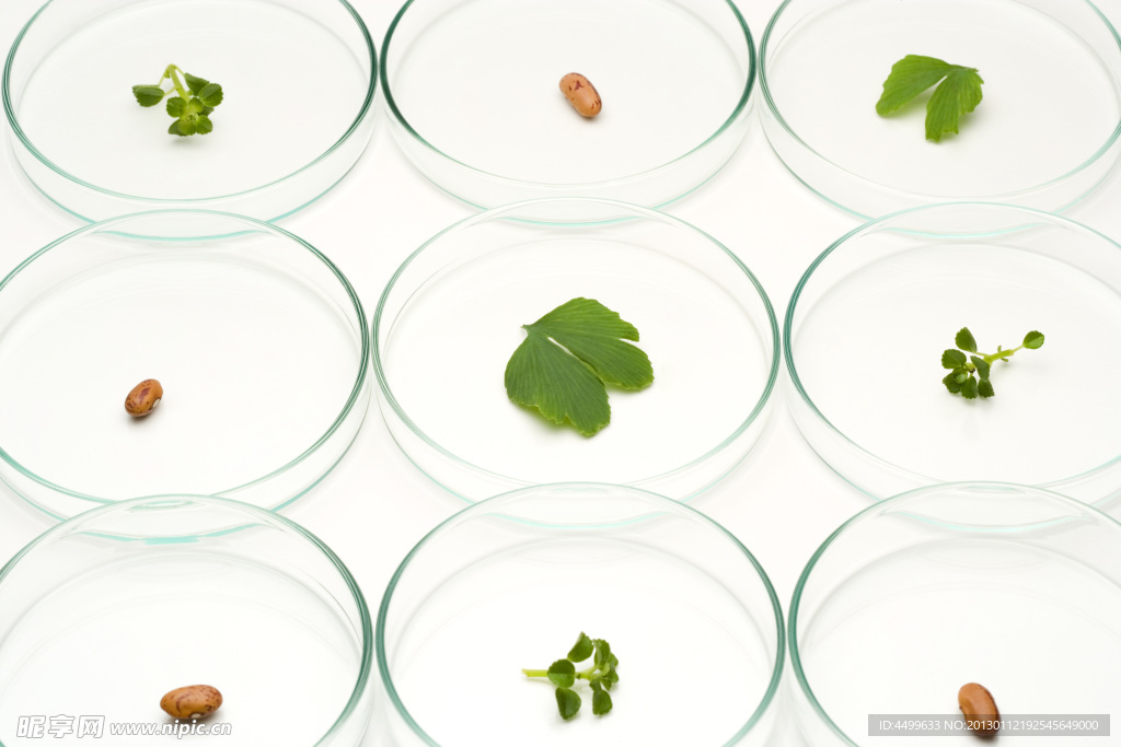 生物科技