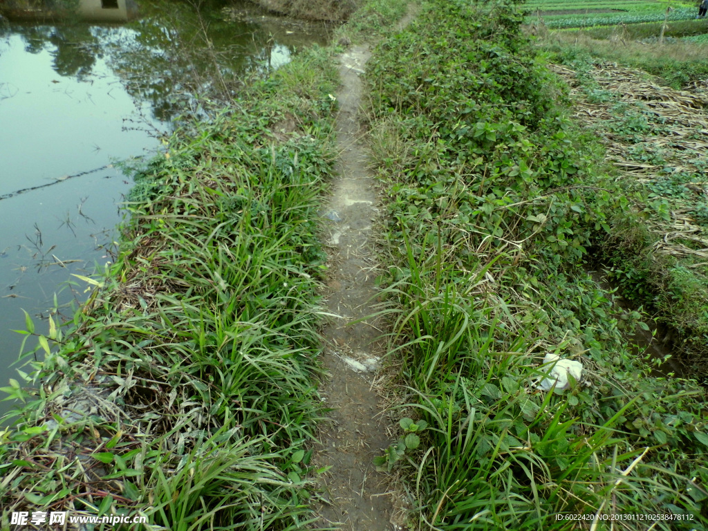 田间小路