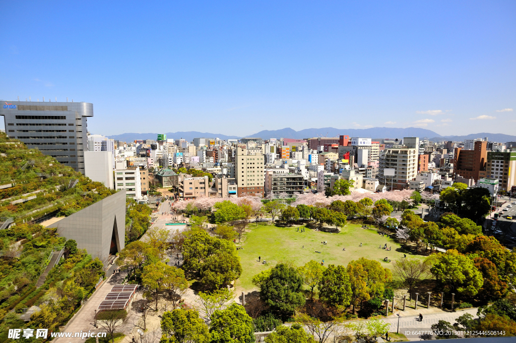 城市公园