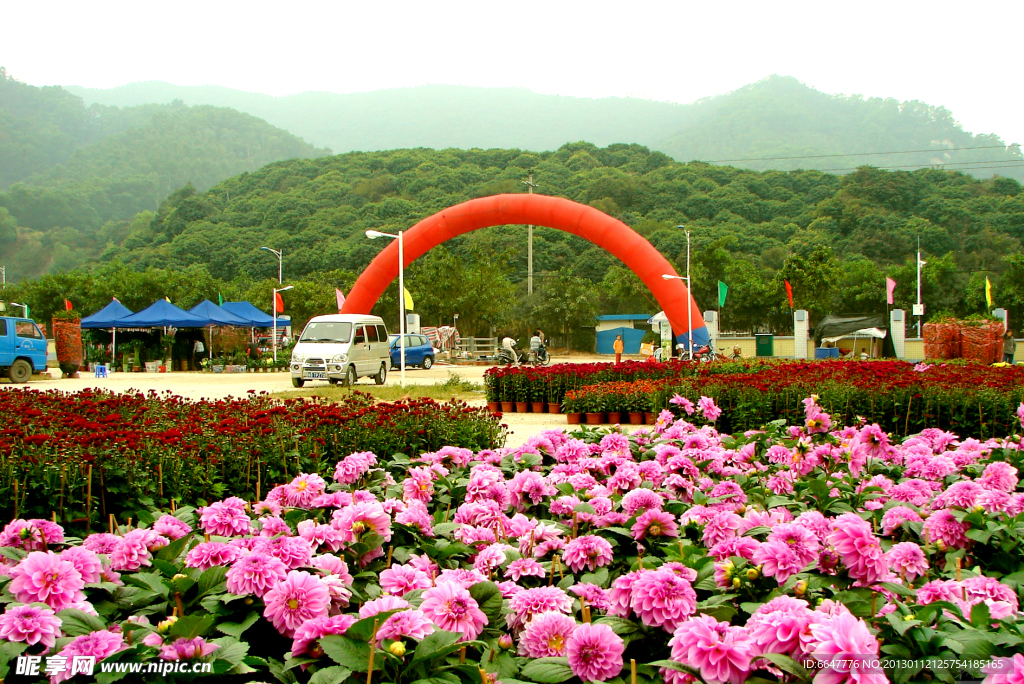 花海