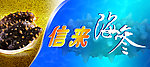 信来海参