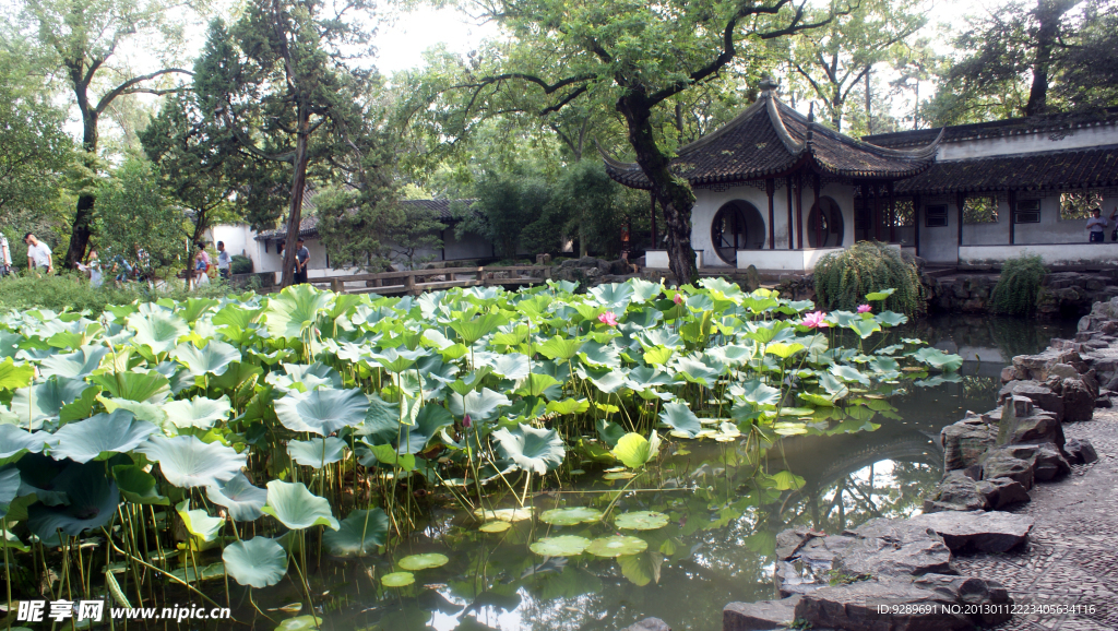 水乡江南风景