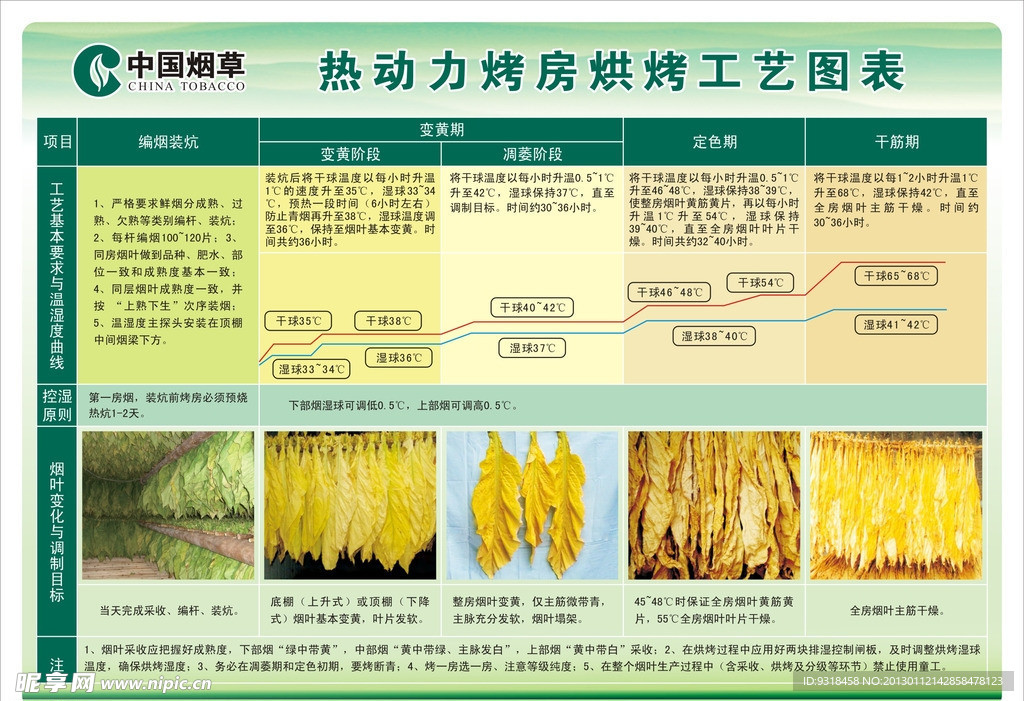 烟草烘烤工艺