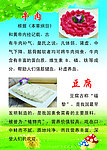 牛肉 蓝天 绿地 白云