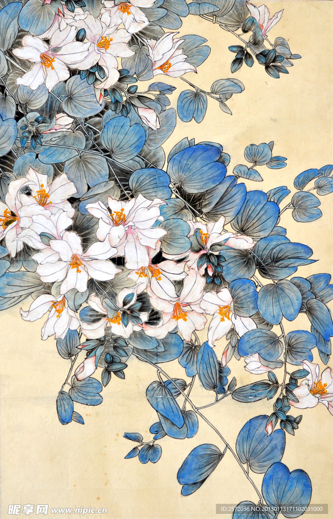 春花漫烂