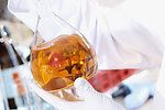 科学实验