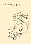 芥子园画谱 花卉