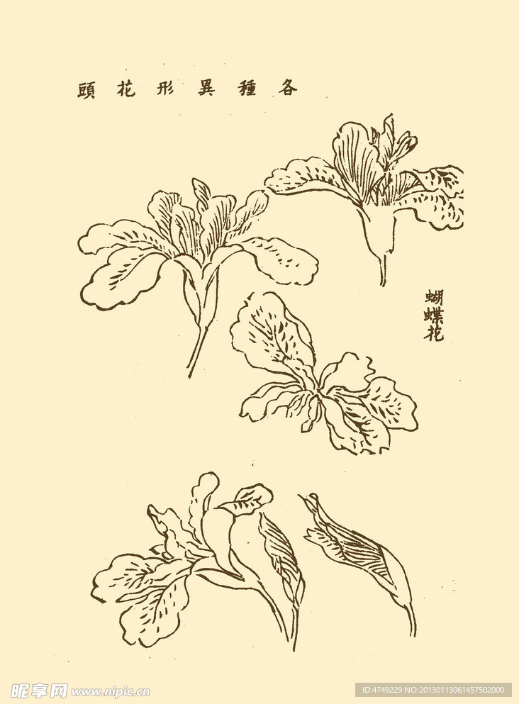 芥子园画谱 花卉