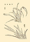 芥子园画谱 花卉