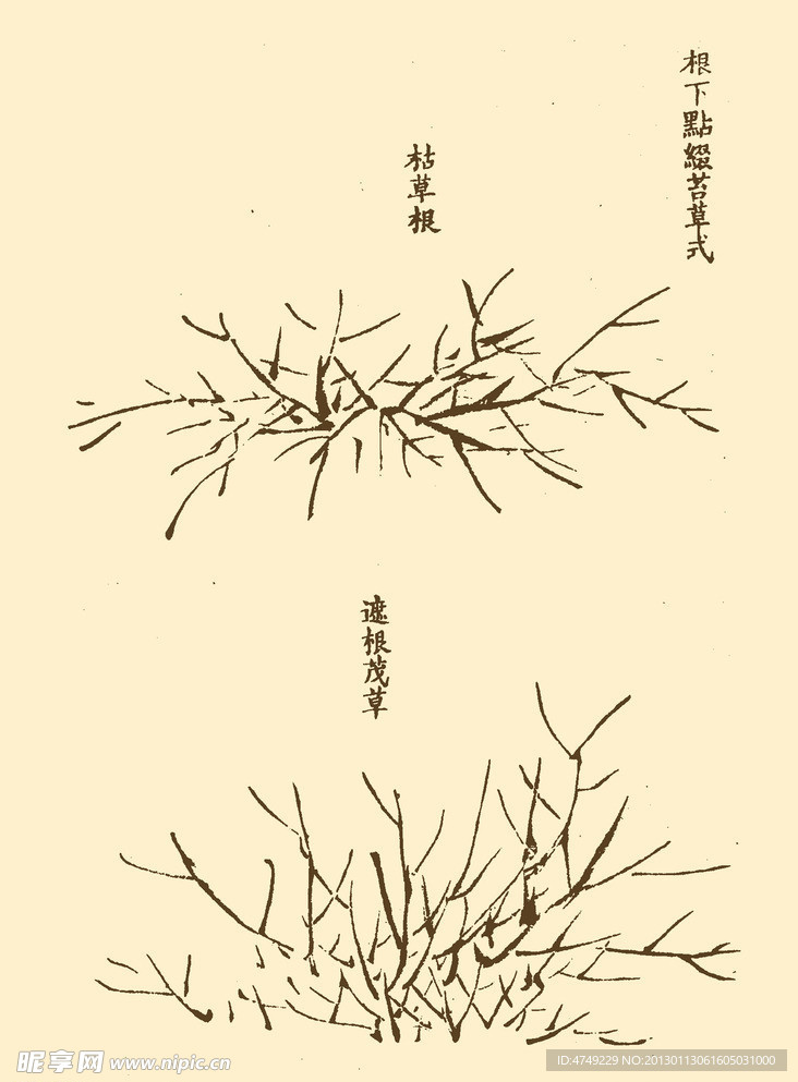 芥子园画谱 花卉