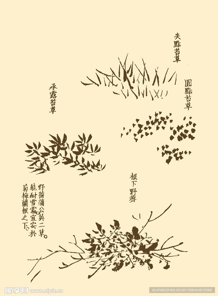 芥子园画谱 花卉