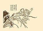 芥子园画谱 花卉
