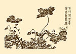 芥子园画谱 花卉