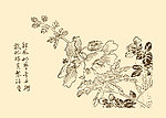 芥子园画谱 花鸟