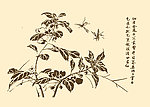 芥子园画谱 花卉