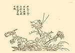 芥子园画谱 花卉