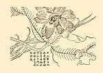 芥子园画谱 花卉
