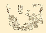 芥子园画谱 花卉