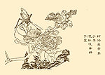 芥子园画谱 花卉