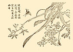 芥子园画谱 花卉