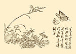 芥子园画谱 花鸟
