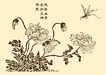 芥子园画谱 花卉
