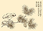 芥子园画谱 花卉