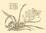 芥子园画谱 花卉